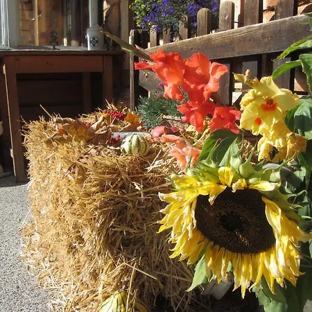 Gloesalm Ramsau am Dachstein