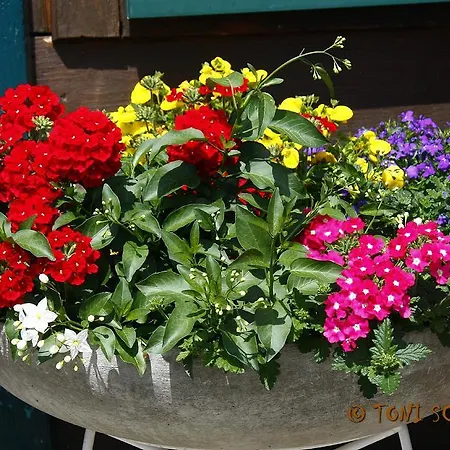 Lejlighed Gloesalm *