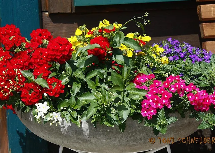 Apartment Gloesalm *